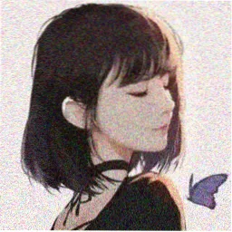 整理者沈迟的头像